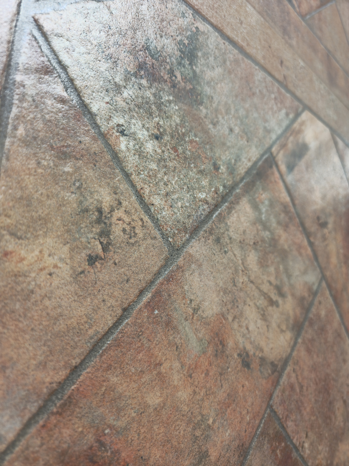 Открытие двухэтажного шоу-рума LAVIT TILE в Индии – более 2000 дизайнов и интерьерные решения